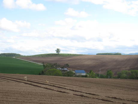 a0279743_14422697.jpg