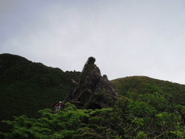 由布岳・西峰に登った～ ♪_b0178146_20292668.jpg