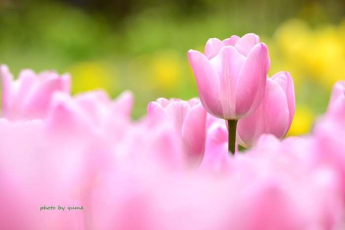 Peaceful time_a0322950_855754.jpg
