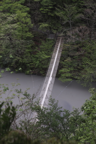 大井川鉄道紀行_b0173851_15211550.jpg