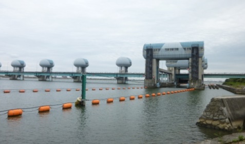 長良川河口堰 5月10日報道_f0197754_14461143.jpg