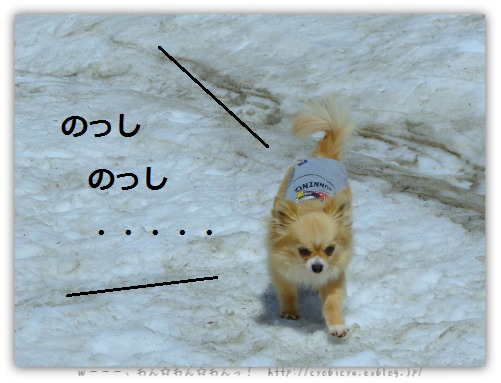 b0112758_19152382.png