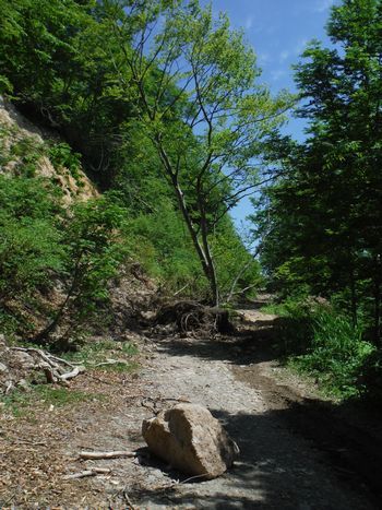 c0294658_06032729.jpg
