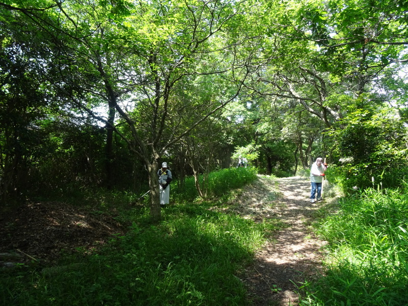草刈り & 屋根張り作業 in うみべの森_c0108460_00370330.jpg