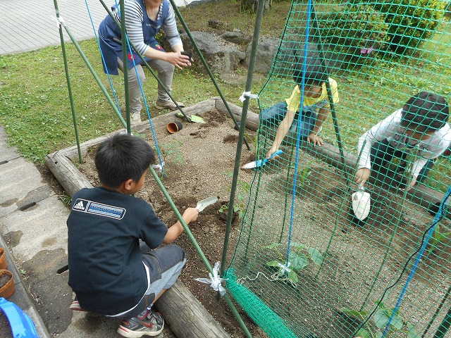 作物の苗を植える_b0197668_1513858.jpg