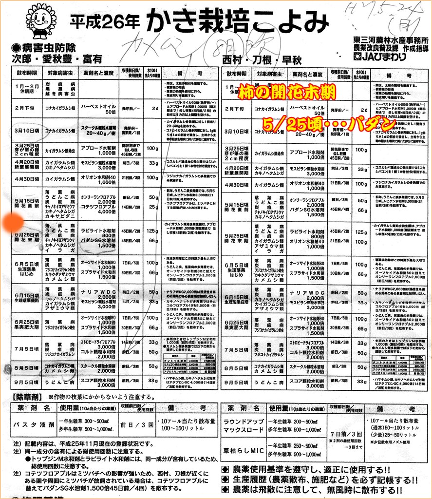 野菜料理にも季節感あり　今年こそ・・柿の消毒時期は_d0007071_51173.jpg