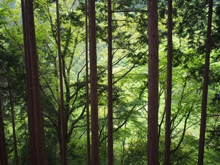 c0318376_22104414.jpg