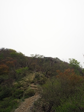 c0318376_22110619.jpg