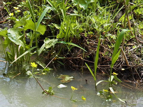 f0083977_4481986.jpg