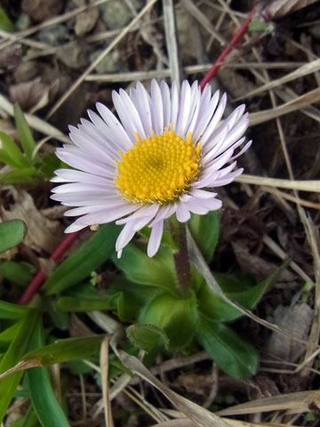 f0083977_5101825.jpg