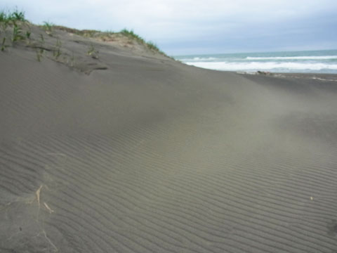 f0083977_5253460.jpg
