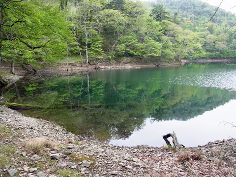 f0083977_531144.jpg