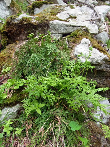 f0083977_5351511.jpg