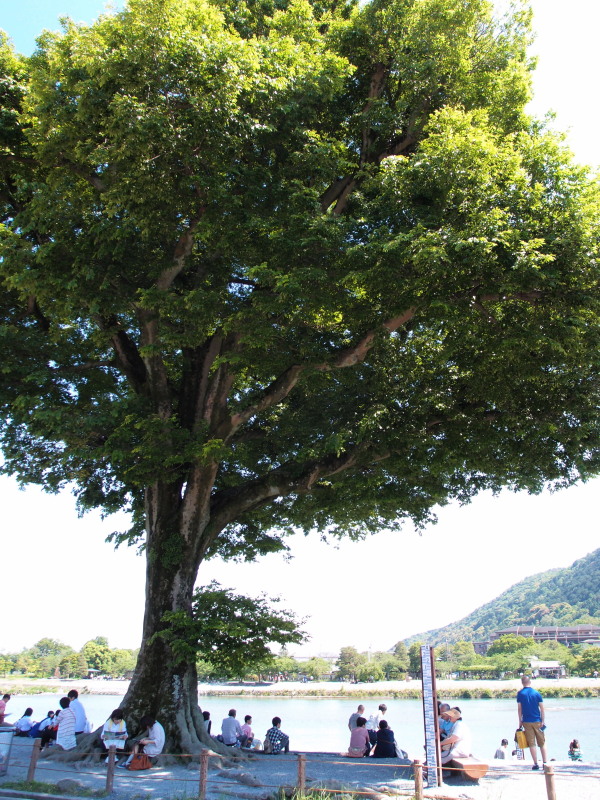 c0254479_221312.jpg