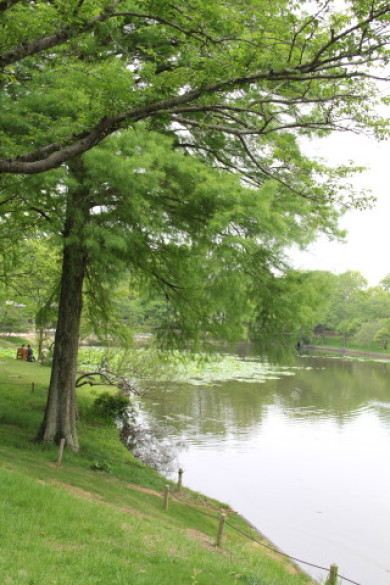 e0154682_00572941.jpg