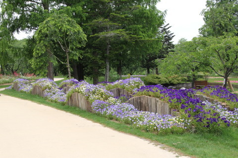 e0154682_00581651.jpg