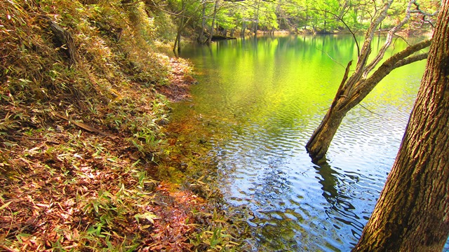 a0242984_8582615.jpg