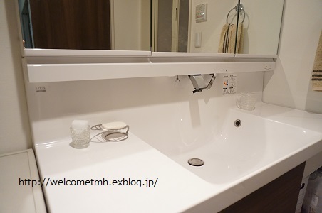 洗面台の掃除用スポンジを隠す Welcome To My Home