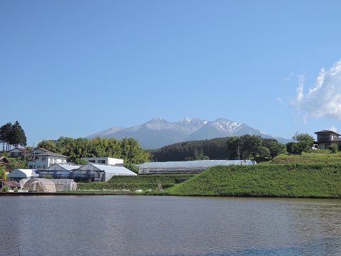 息子からの便り^^;_a0211886_0133797.jpg