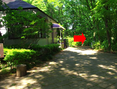 b0123486_12182488.jpg