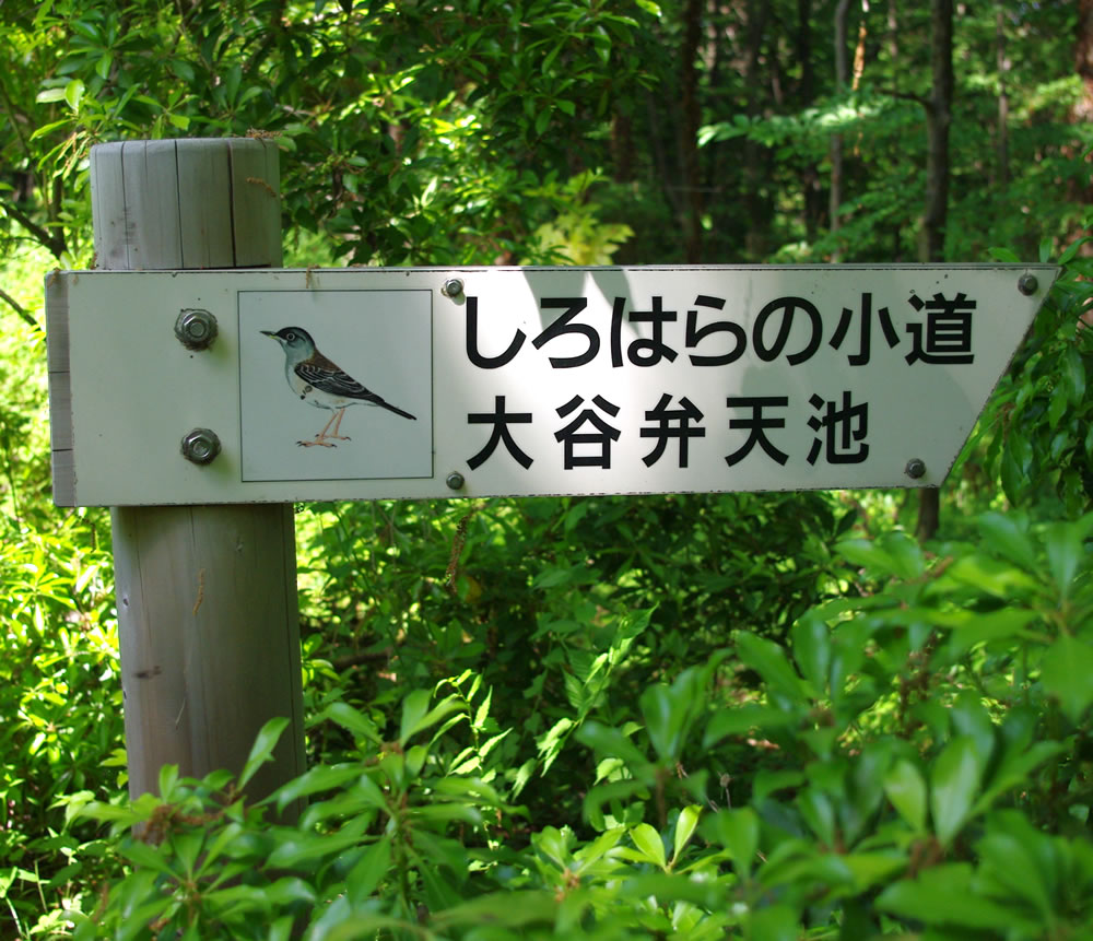 b0123486_1221648.jpg
