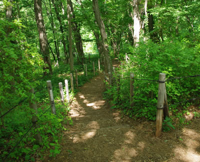 b0123486_17502973.jpg