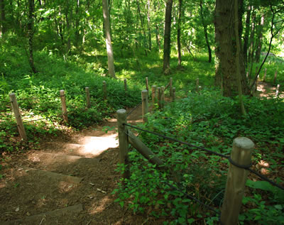 b0123486_17563461.jpg