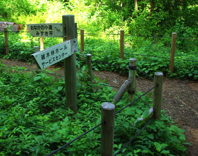 b0123486_1817305.jpg
