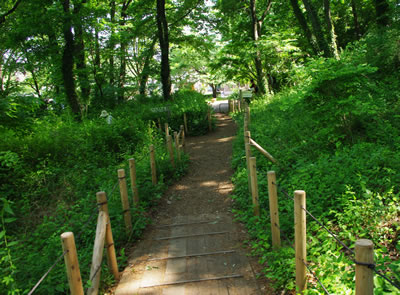 b0123486_18251456.jpg