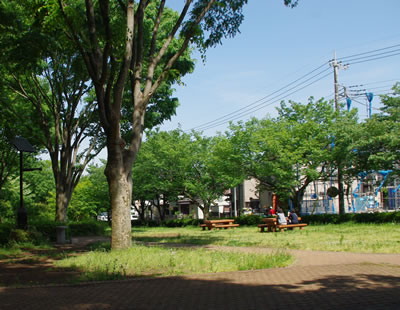b0123486_1849630.jpg