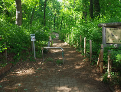 b0123486_20203082.jpg