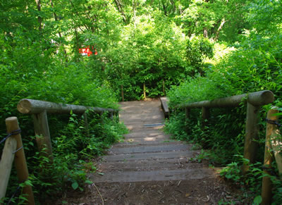 b0123486_20243120.jpg