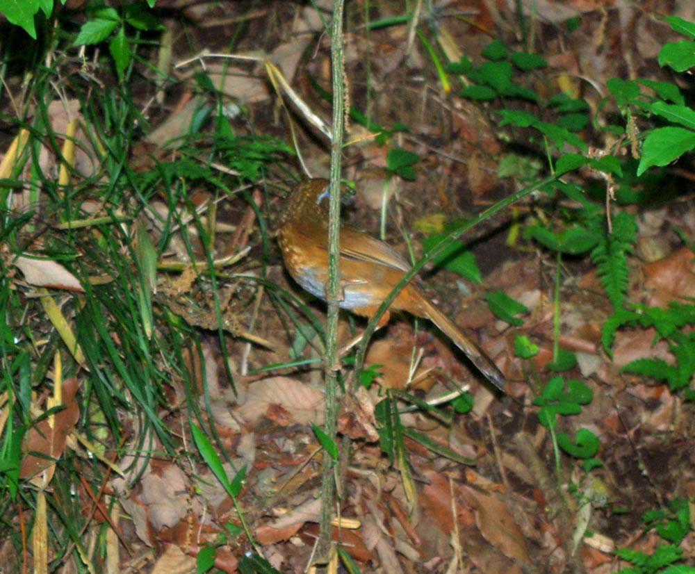 b0123486_20413145.jpg