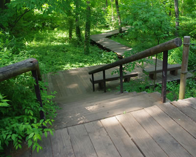 b0123486_20452810.jpg