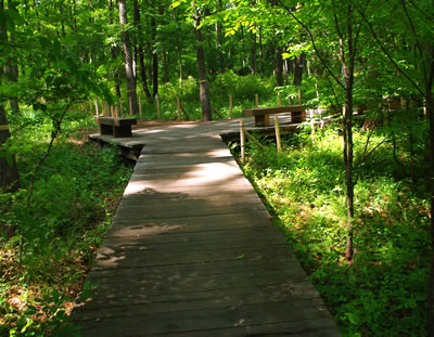 b0123486_20482331.jpg