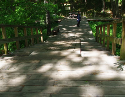 b0123486_21293858.jpg