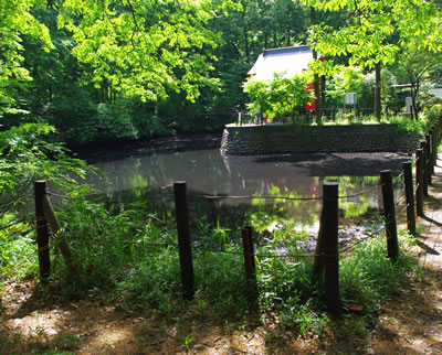b0123486_2225776.jpg