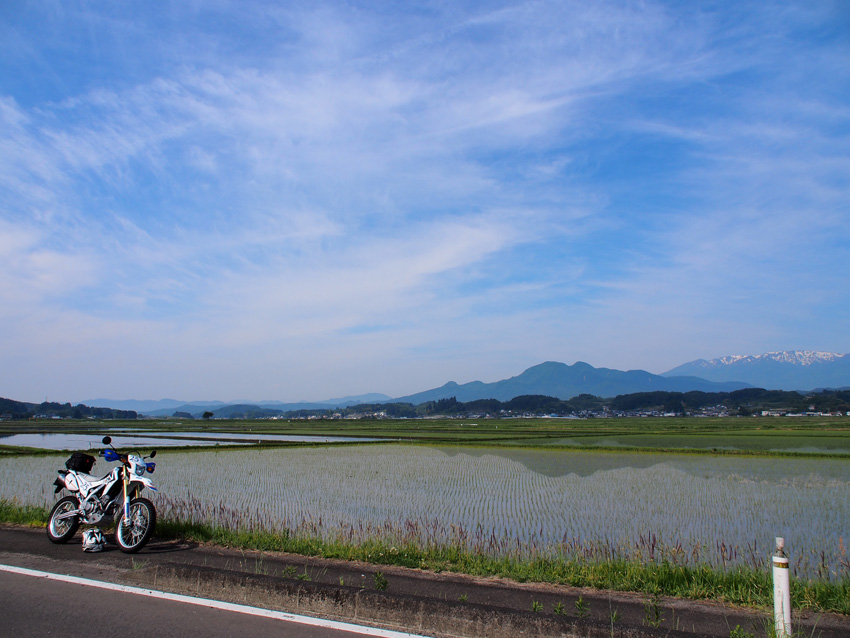 d0244687_1041429.jpg
