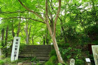 Where Have All The Flowers Gone？ 愛宕山_f0073587_001893.jpg