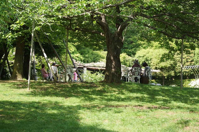 藤田八束の素敵なバラ園ご紹介:兵庫県西宮市・ 北山緑化植物園の春・バラが咲いた美しい北山緑化植物園_d0181492_2137211.jpg