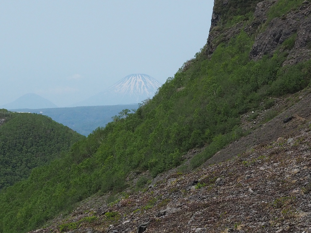  風不死岳と樽前山、5月24日－樽前山編－_f0138096_1282913.jpg