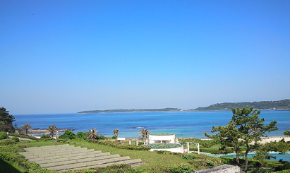 d0154601_1841619.jpg