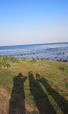 d0154601_18431911.jpg