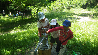 もりもり初夏の生き物観察_b0126307_14480219.jpg