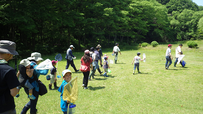 もりもり初夏の生き物観察_b0126307_14480252.jpg