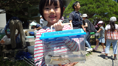 もりもり初夏の生き物観察_b0126307_15050806.jpg