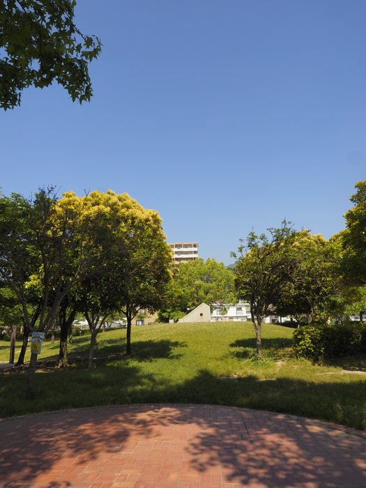 佐伯区民文化センター＆五日市中央公園_c0116915_2322442.jpg