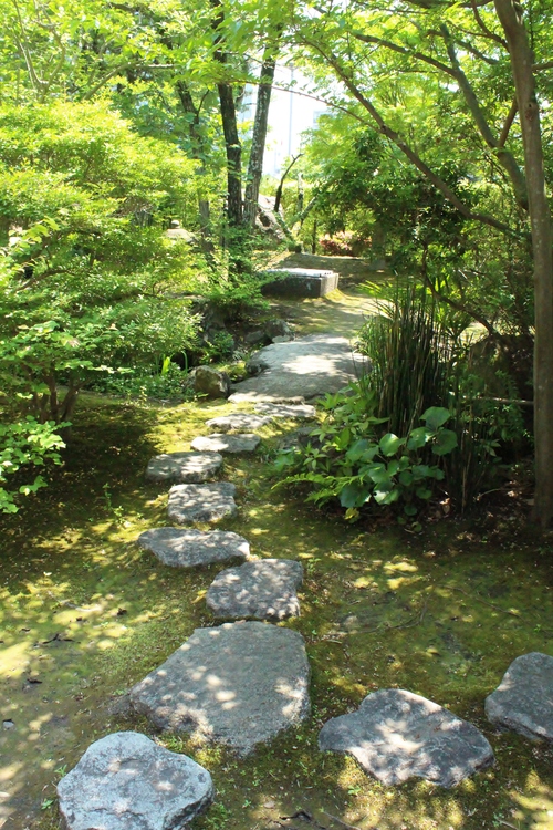 喜楽亭で楽しむ　おいしい日本茶　２_b0220318_18411973.jpg
