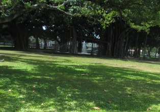 a0242019_18271972.jpg