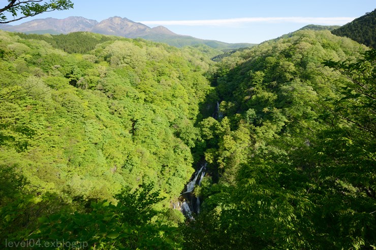 d0319222_13135487.jpg